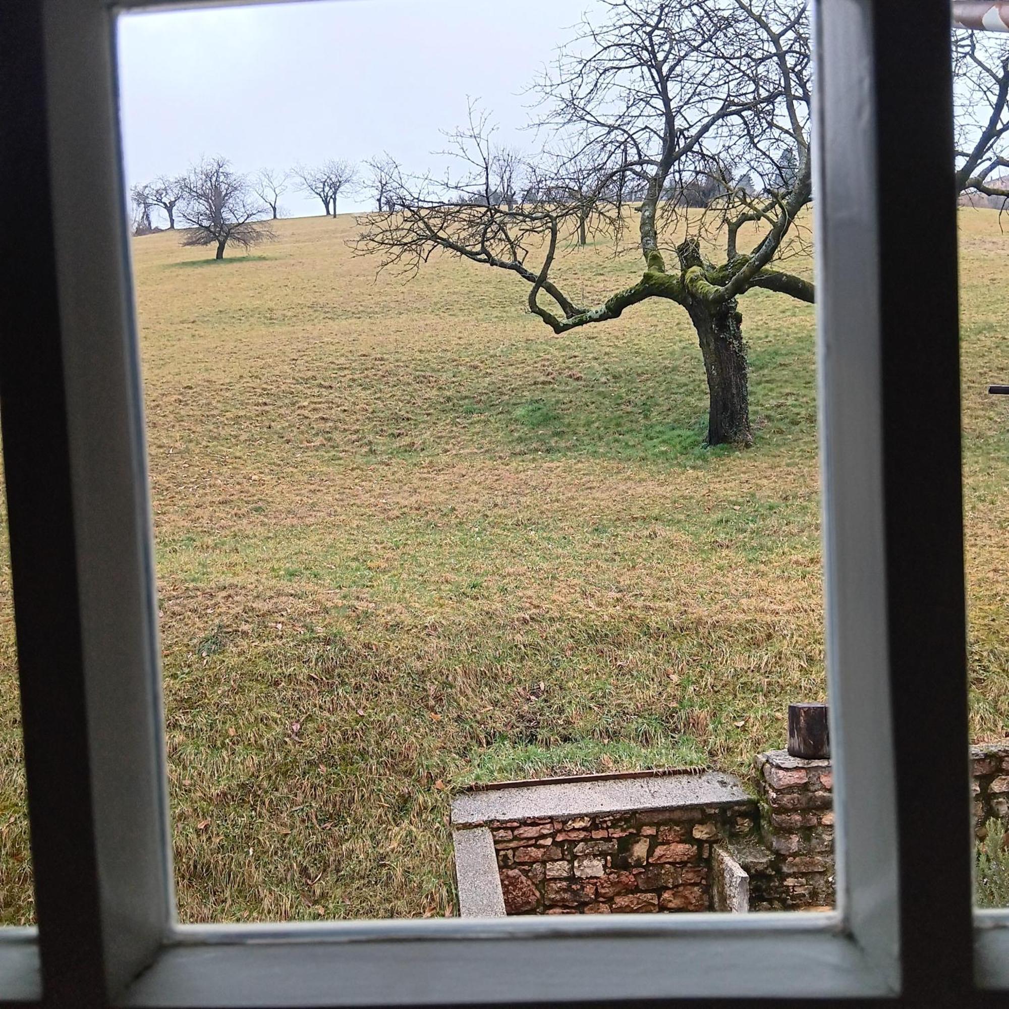 Il Sentiero Bed & Breakfast Cerro Veronese Dış mekan fotoğraf