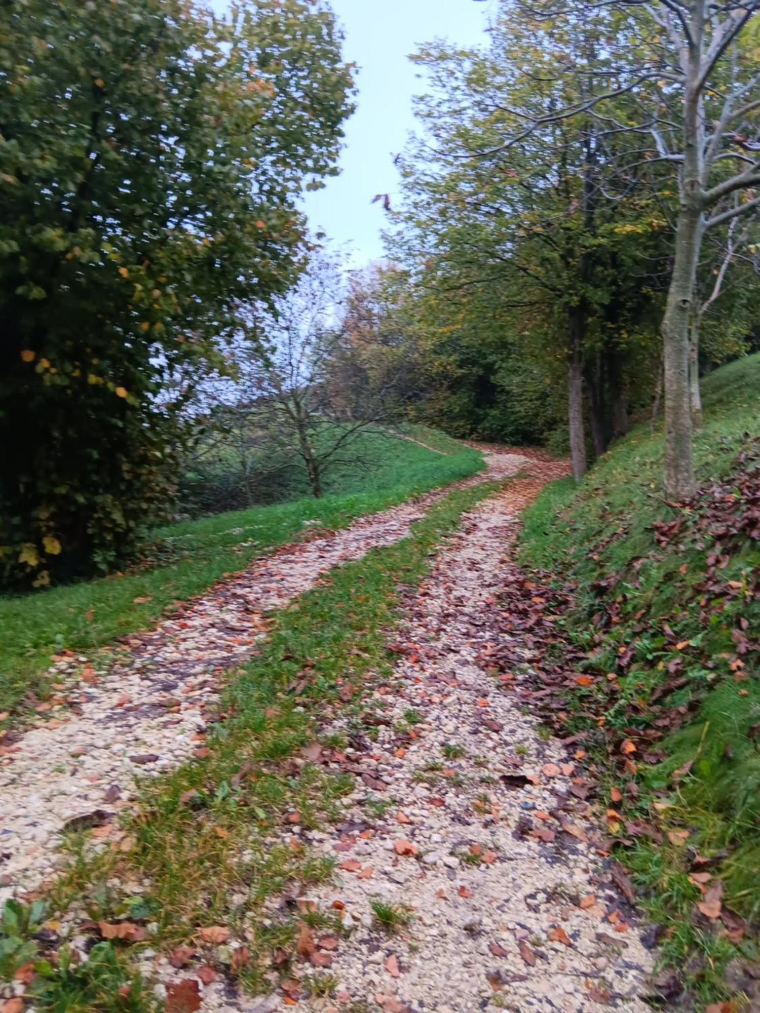 Il Sentiero Bed & Breakfast Cerro Veronese Dış mekan fotoğraf